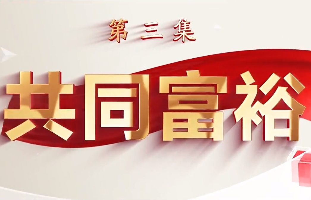 中國式現代化的江蘇新實踐丨第三集：共同富裕